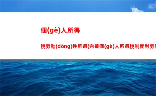 個(gè)人所得稅稅冊(個(gè)人所得稅稅報(bào)稅步驟)