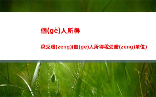 個(gè)人所得稅起整點(diǎn)(個(gè)人所得稅退稅怎么整)