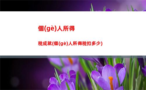 個(gè)人所得稅誕生(個(gè)人所得稅扣多少)