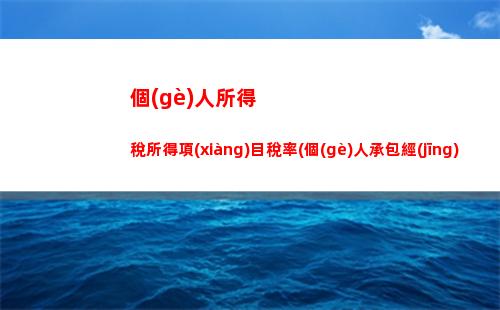 個(gè)人所得稅其他所得稅目(個(gè)體戶申報(bào)個(gè)人所得稅和經(jīng)營(yíng)所得稅)