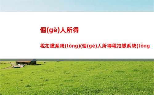 個(gè)人所得稅能補(bǔ)交嗎(個(gè)人所得稅補(bǔ)交不交會(huì)怎樣)