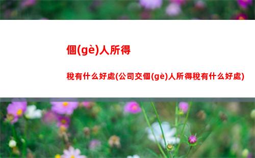 個(gè)人所得稅造句