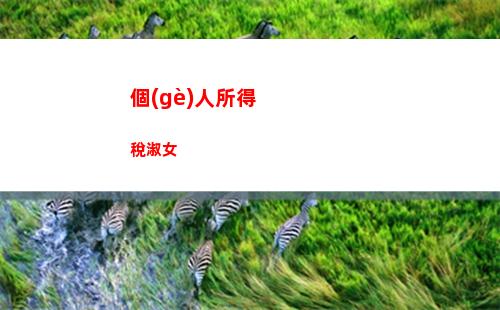 個(gè)人所得稅稅號(hào)(個(gè)人所得稅稅號(hào)是什么)