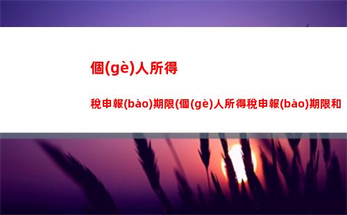 個(gè)人所得稅社保(個(gè)人所得稅申報(bào)操作流程2023)