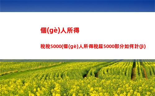 深圳市個(gè)人所得稅計(jì)算方法(深圳市個(gè)人所得稅計(jì)算方法器)