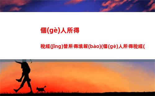 個(gè)人所得稅以支付所得(個(gè)人所得稅需由支付所得的扣繳義務(wù)人)