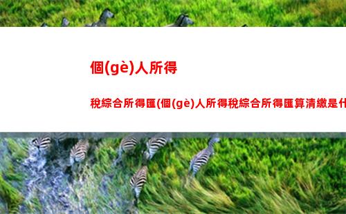輕松掌握！黃山個(gè)稅計(jì)算詳解，讓你省錢又放心