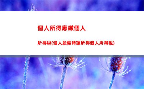 個人所得稅報表免稅所得(個人所得稅生產經營所得免稅范圍)