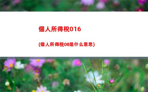 個人報銷個人所得稅(個人所得稅怎么報銷)