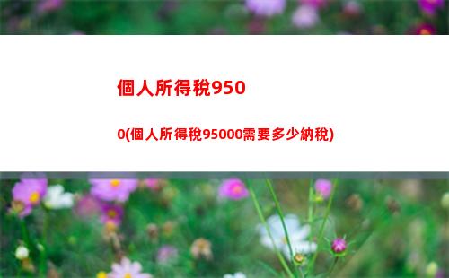 “輕松拿回稅金！了解合伙人個人所得稅優惠政策！”