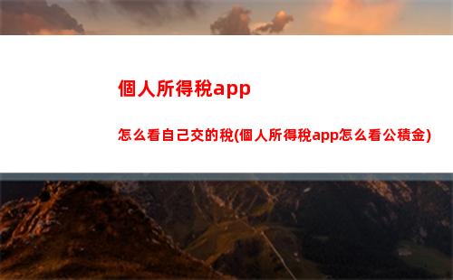 個人所得稅a(個人所得稅app正版官方下載步驟)