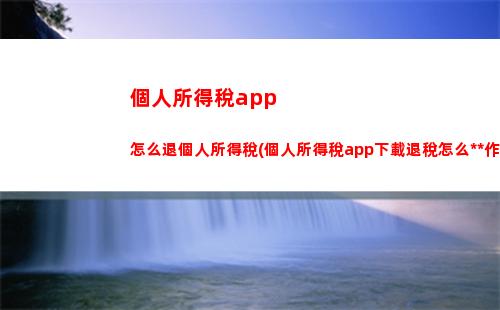 個人所得稅app年度所得稅(個人所得稅app下載退稅)