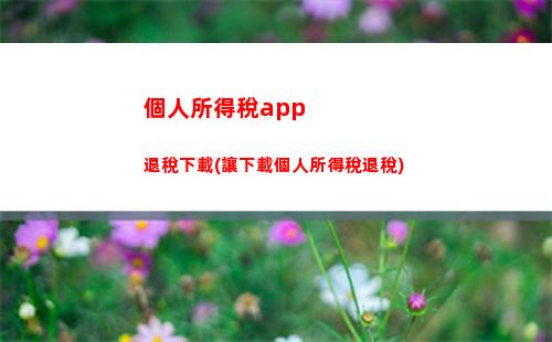 “輕松領取個人所得稅退稅！快來了解申報方法！”