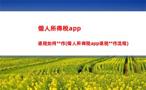 “輕松省錢！個稅匯報表下載指南，快速掌握個人所得稅！”