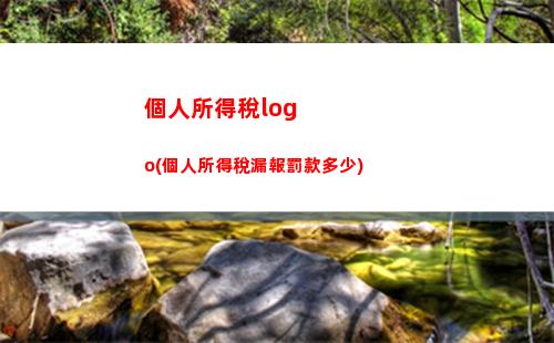 微商必看：個人所得稅比例大揭秘，助你合理減稅！