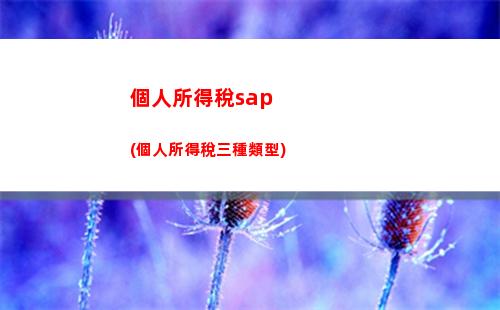 個人所得稅做賬(個人所得稅做賬流程)