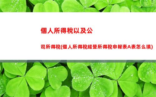 個人所得稅補繳流程(2022個人所得稅補繳流程)