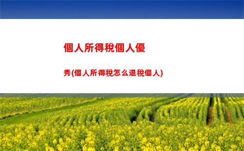 個人所得稅檢查(個人所得稅檢查重點)
