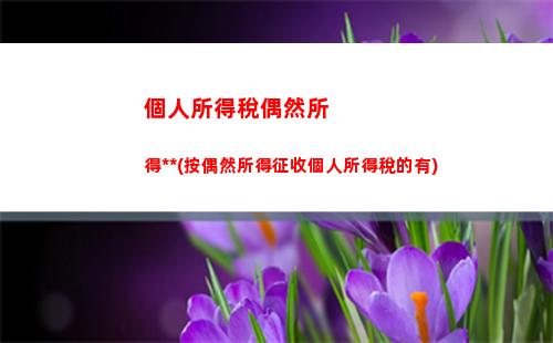 個人所得稅生產所得表格(個人所得稅生產經營所得納稅申報表(C表))