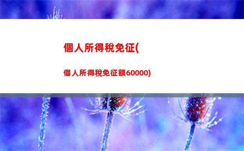 個人所得稅煙臺(煙臺賣房個人所得稅)