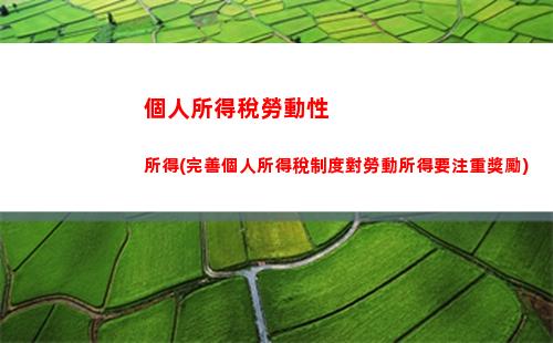 個人所得稅稅冊(個人所得稅稅報稅步驟)