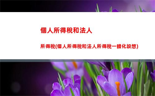 掌握個人所得稅計算，輕松理財節省開支！-70個字符