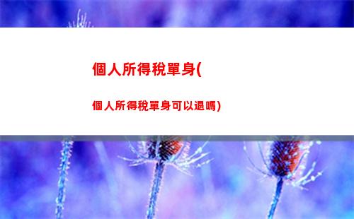 薪資計算完全解讀！讓你一目了然個稅扣除，省心更省錢！