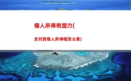 輕松查詢個稅記錄！大連地稅告訴你如何查看個人所得稅繳納記錄