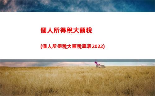 最快速的個稅計算器，輕松算出您的稅款貸款！