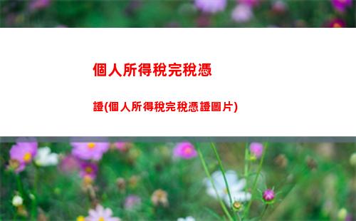 個人所得稅腿稅(個人所得稅怎么腿稅)