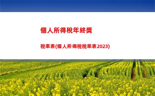 個人所得稅騰訊(個人所得稅騰訊大地通途)