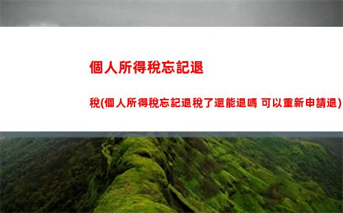 個人所得稅稅合并(個人所得稅稅報稅步驟)