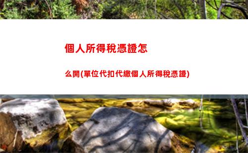 個人所得稅退稅審核要多久(個人所得稅退稅app下載安裝)