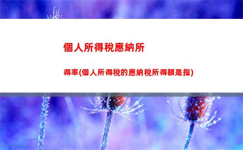 輕松掌握個稅計算技巧，讓婆婆也能幫你省錢！