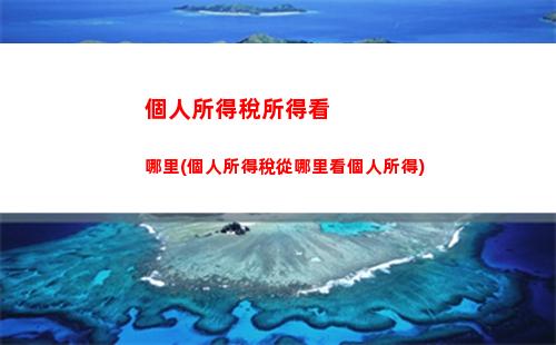 個人所得稅全息