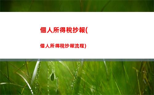 個人所得稅就是工薪所得稅(個人所得稅工薪金所得稅怎么申報填寫)