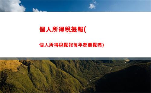 個人所得稅年度稅(個人所得稅年度稅率表)