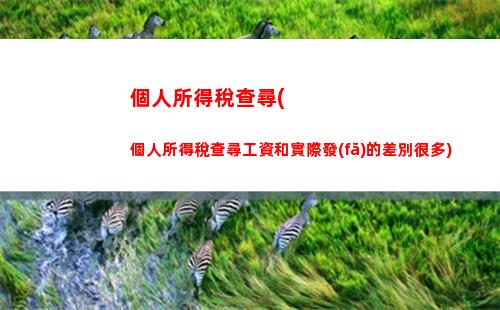 省錢攻略：如何快速查詢個人所得稅記錄？