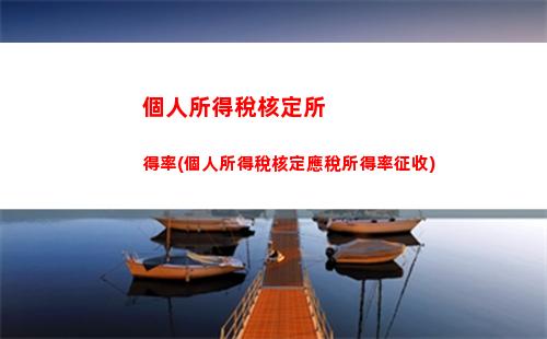 個人所得稅感慨(怎樣退稅個人所得稅)