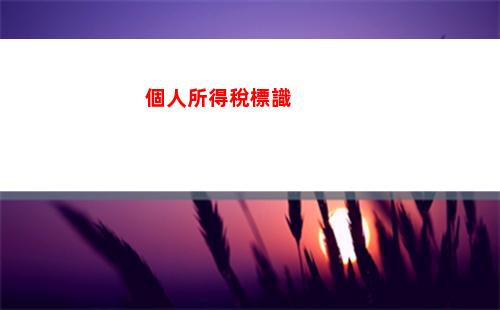 荷蘭個人所得稅應稅所得(個體工商戶個人所得稅應稅所得率)