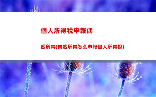 個人所得稅統計(個人所得稅統計表)