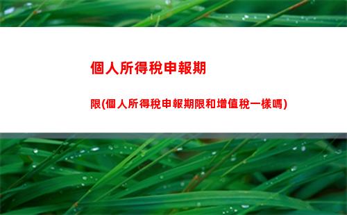 個人所得稅社保(個人所得稅申報操作流程2023)