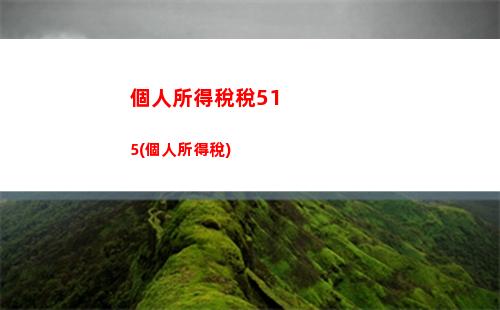 個人所得稅可以補交嗎(個人所得稅補交不交會怎樣)