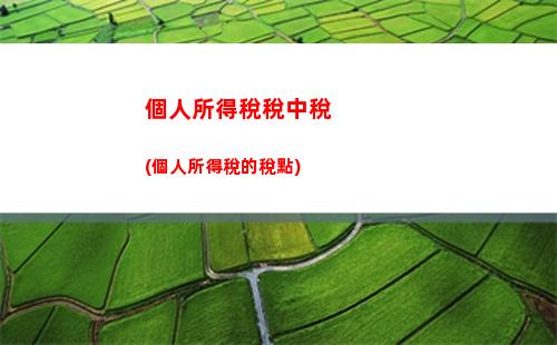 個人所得稅未達(個人所得稅未達起征點)