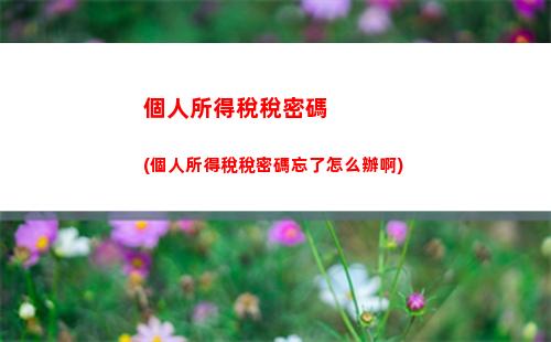 個人所得稅能退哪年的稅(個人所得稅什么條件可以退)