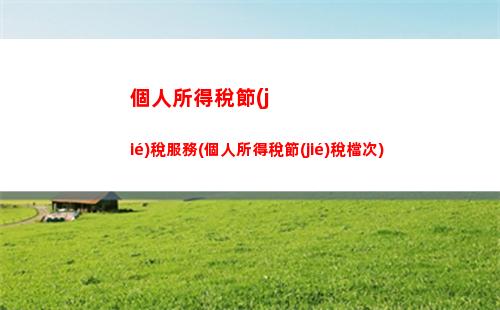 個人所得稅紅字(個人所得稅紅字是什么意思)