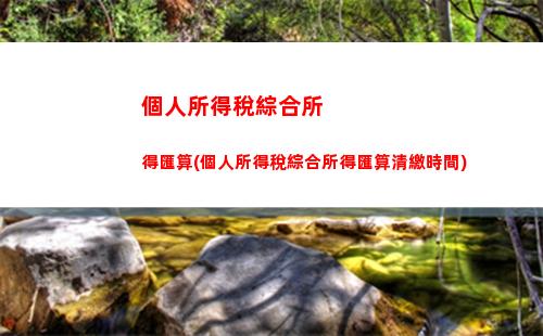 個人所得稅月份有全年沒有(個人所得稅退稅是幾月份)