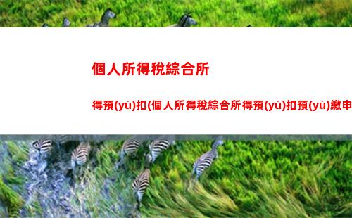 輕松計(jì)算個稅，拒絕超納金！