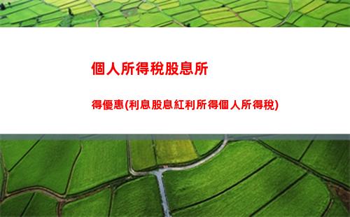 美食小館納稅攻略：個人所得稅如何計算？