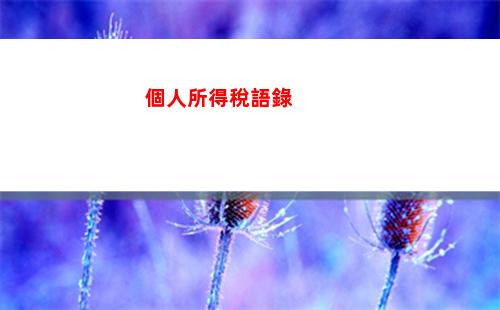 個人所得稅綜合所得預扣(個人所得稅綜合所得預扣預繳申報表)